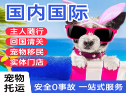 荆州沙市航空邮寄国际宠物托运 【国
